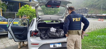 Homem é preso com quase 64 kg de maconha na Via Dutra, em Piraí