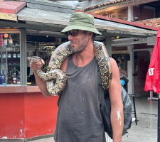 Cobra 'papa-pinto' é resgatada na faixa de areia da Prainha, em Arraial do Cabo
