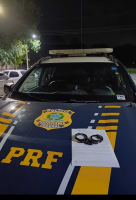 Procurado pela Justiça por tráfico de drogas é preso na Via Dutra, em Volta Redonda