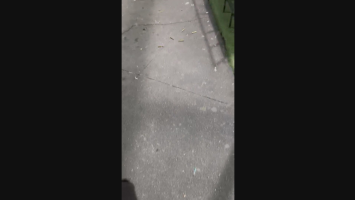 Homem morre e outro fica ferido em ataque a bar na Taquara