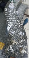 Drogas são apreendidas em Vassouras