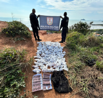 Drogas são encontradas em área de mata de Cabo Frio; valor estimado é de R$ 100 mil